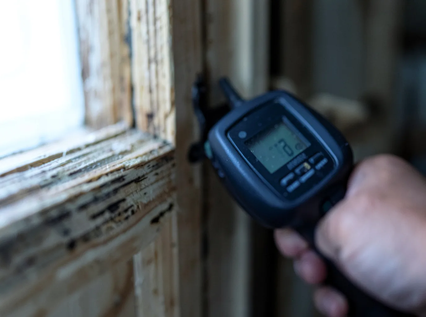 Moisture Inspection And Documentation in Trinidad, CA